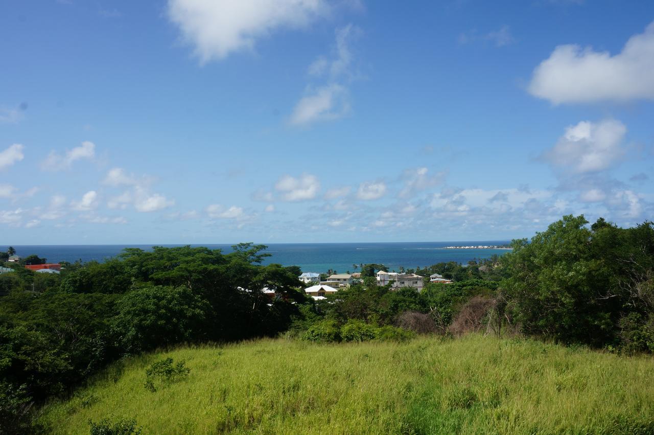 Faith'S Villa Tobago Diamond Extérieur photo
